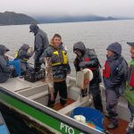 Región de Aysén: Sindicato de Puerto Gala es pionero en conformación de comercializadora de productos del mar