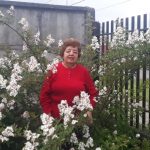 La arenga de un histórico bastión socialista en Fresia