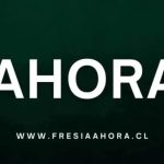 Se confirma fallecimiento de una persona tras incendio en Huempeleo