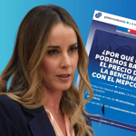 Contraloría ordena sumario a Segegob por uso de expresión “Estado en quiebra”