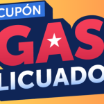 Gobierno entregará cupón de gas licuado de $27 mil a hogares vulnerables