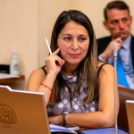Más del 20% de vehículos de Carabineros estaría fuera de servicio: diputada Muñoz pide antecedentes en Los Lagos