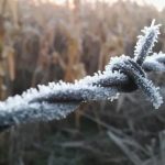 Heladas traerán hasta -5°C este fin de semana en Los Lagos
