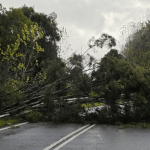 Municipalidad de Fresia llama a prevenir ante sistema frontal que traerá lluvias y fuertes vientos