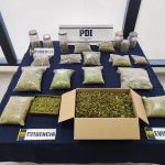 PDI asesta golpe al microtráfico en Fresia con histórica incautación de $45 millones en marihuana