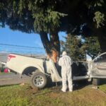 Puerto Montt: un muerto y conductor detenido tras choque contra un árbol