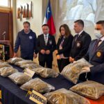 Golpe al narcotráfico en Puerto Montt: PDI incauta más de $217 millones en cannabis