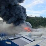 Límite Puerto Montt-Calbuco: Emergencia por incendio industrial y riesgo de químicos en planta procesadora de algas